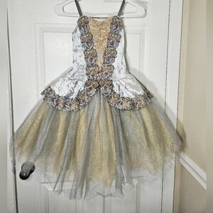 Revolution Silver Velvet, Silver And Gold Tulle Dance Costume, Sc LC